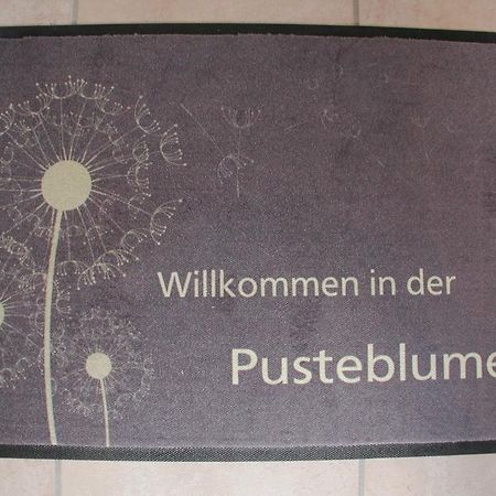 Ferienwohnung Pusteblume Κόχεμ Δωμάτιο φωτογραφία